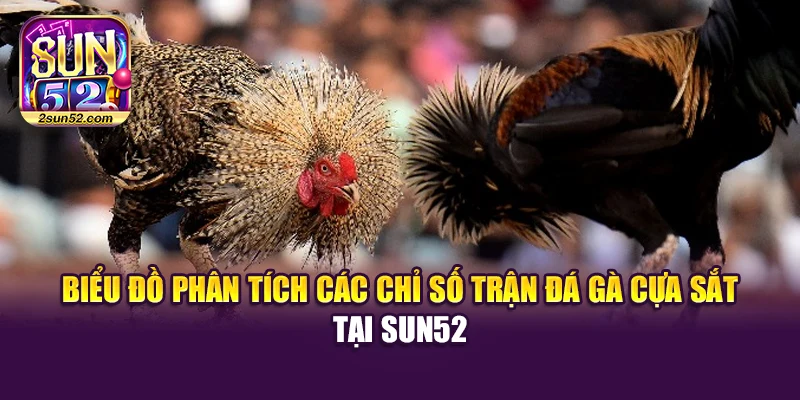 Biểu đồ phân tích các chỉ số trận đá gà cựa sắt tại Sun52