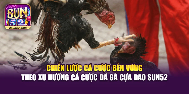 Chiến lược cá cược bền vững theo xu hướng cá cược đá gà cựa dao Sun52