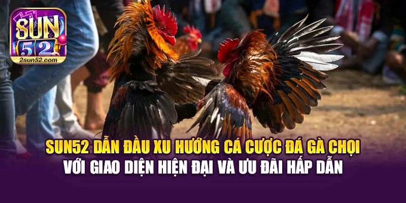 Sun52 dẫn đầu xu hướng cá cược đá gà chọi với giao diện hiện đại và ưu đãi hấp dẫn